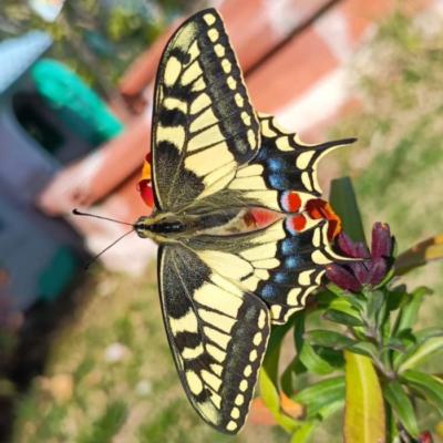 Concurso Fotografía Científica - Fotografías participantes