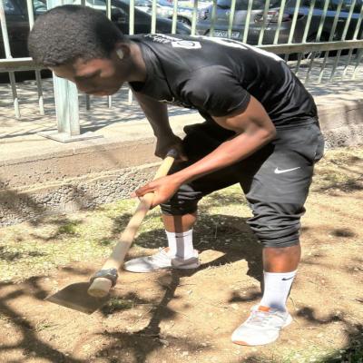 Huerto escolar - PAI