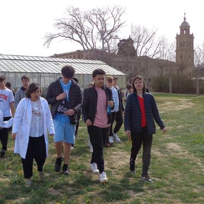 Aula Dei 2023